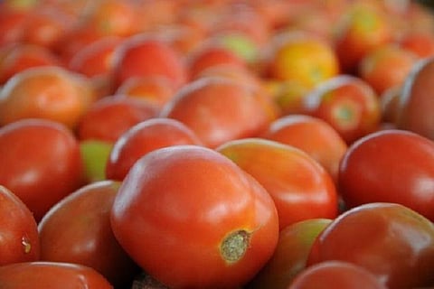 Tomato prices soar in Telangana, a kilo sold for a staggering Rs 140