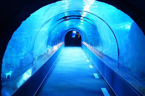 Andhra capital Amaravati to have India's first underwater tunnel for vehicles