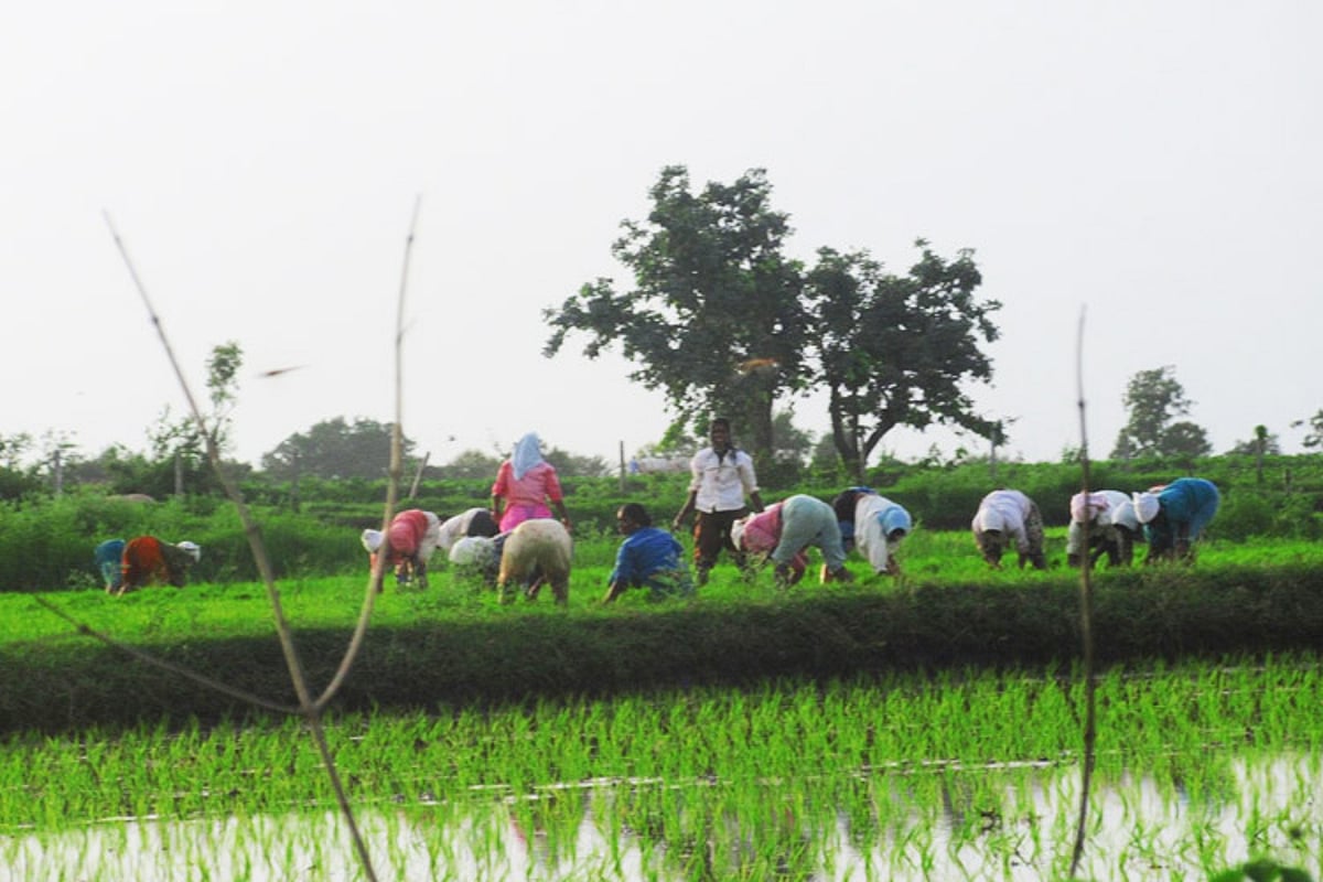 Telangana govt releases Rs 5,100 cr to farmers as part of Rythu Bandhu ...