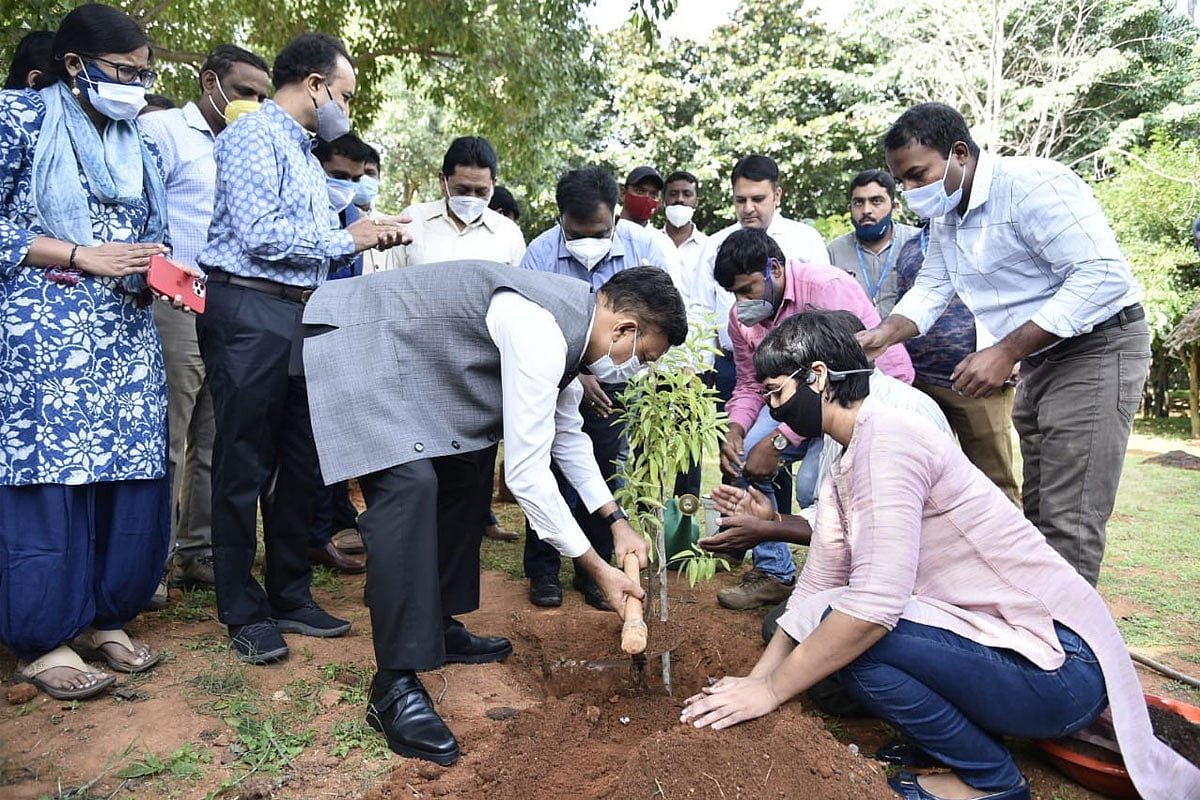 BBMP to plant 75000 saplings, construct 5000 recharge wells in the city