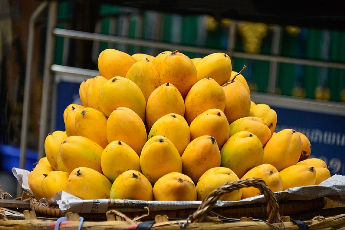 Mangoes may be in short supply this summer in Andhra and Telangana