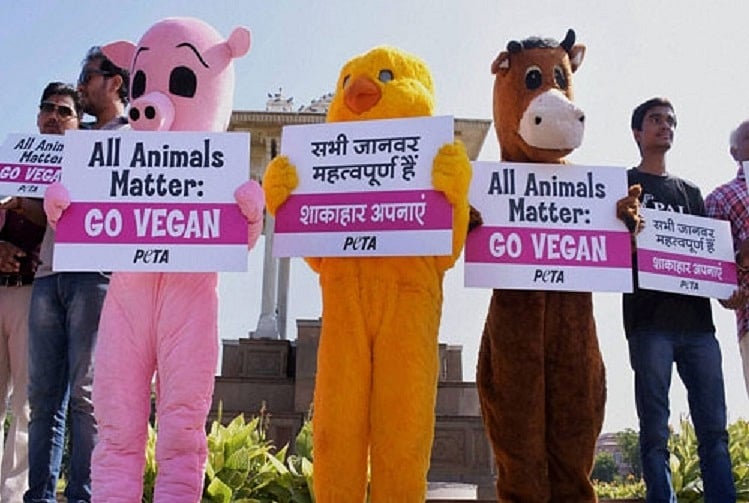 PETA no stranger to controversy, a short list of the animal rights ...