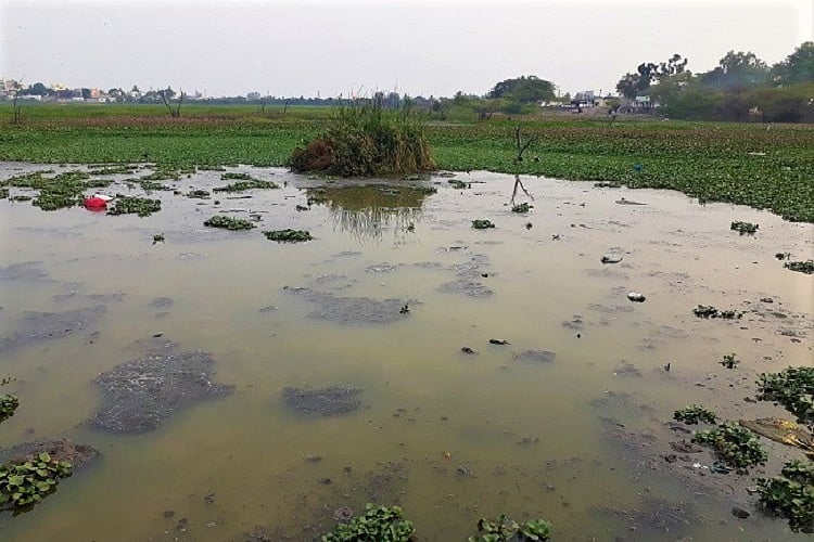 Despite action by authorities, animal waste still being dumped in Hyd's