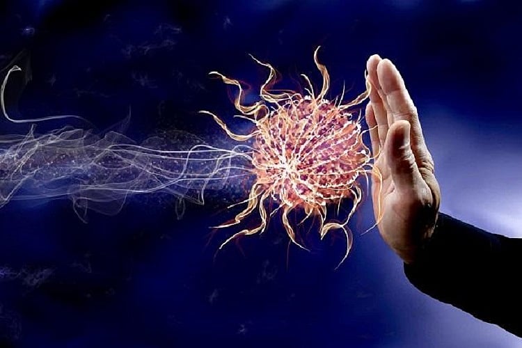 Decoded How Omega3 fatty acid helps inhibit cancer's spread