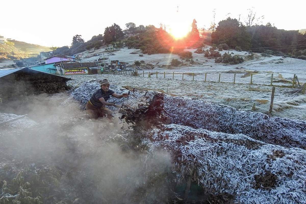 Ooty trembles as temperature drops to 4 degrees