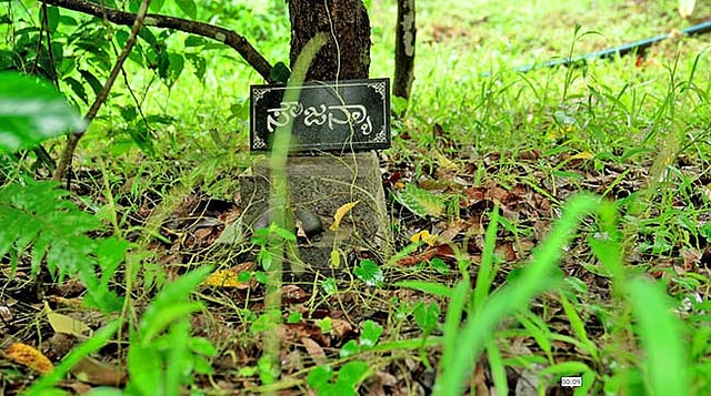 No one killed Sowjanya: A botched police investigation let her killer ...