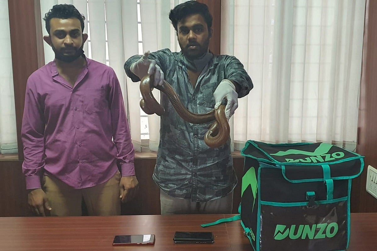 Two arrested for trying to courier 'twoheaded' snake in Bengaluru