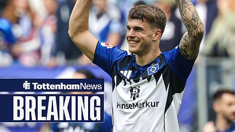 Luka Vuskovic Hamburger SV , 44 cheers, cheers after his goal