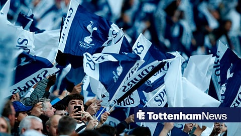 Tottenham fans waving flags