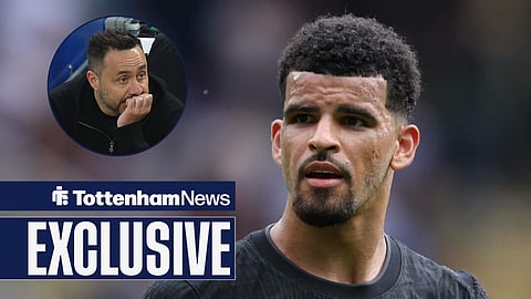 Tottenham star Dominic Solanke and Roberto De Zerbi