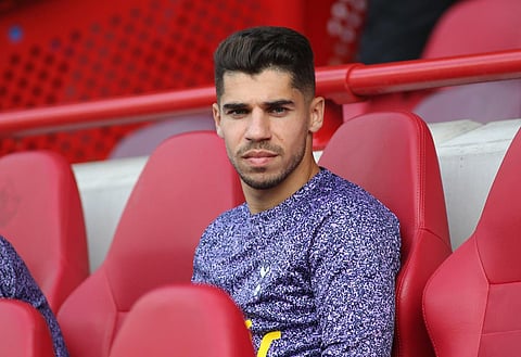 Doctor issues injury update on Tottenham attacker Manor Solomon