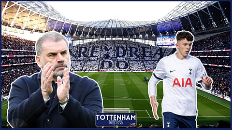 Maeson King could be key for Ange Postecoglou for Tottenham