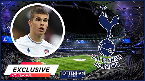 Tottenham are sending Luka Vuskovic out on loan