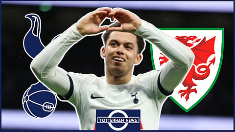 Tottenham ace Brennan Johnson plays for the Wales national team