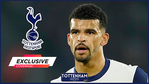 Tottenham striker Dominic Solanke (Credit: Imago)