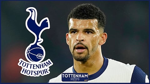 Tottenham striker Dominic Solanke [Credit: Imago]