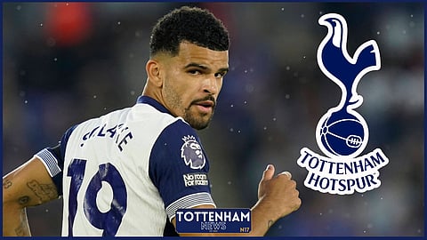 Tottenham striker Dominic Solanke (Credit: Imago)