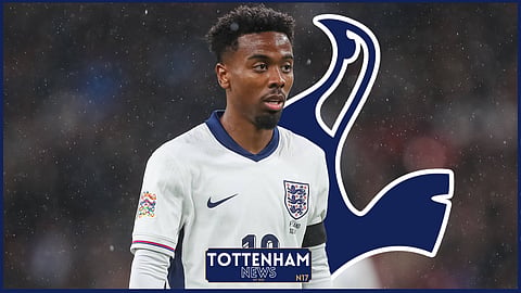 Tottenham could sign Lille midfielder Angel Gomes (Credit: Imago)