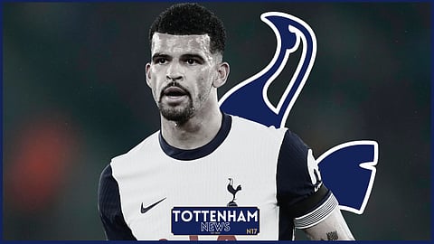 Tottenham striker Dominic Solanke (Credit: Imago)