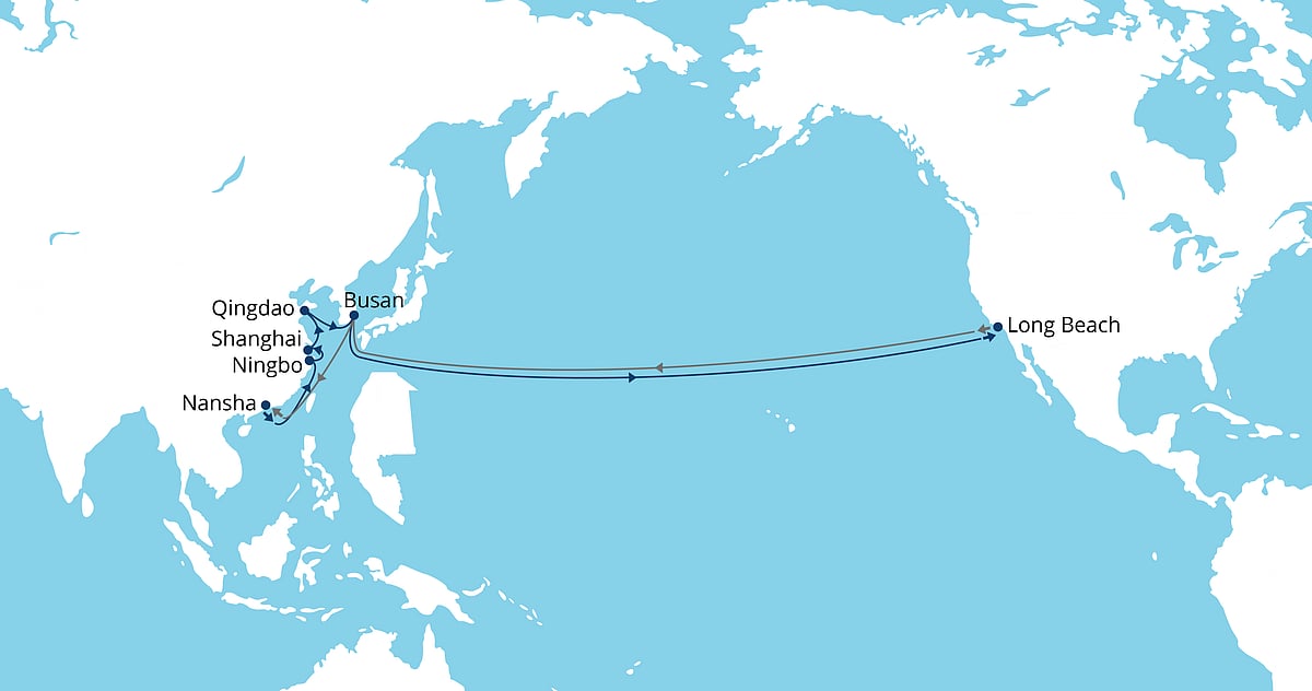 SeaLead Launches Liner Shipping Service Connecting China, S Korea and US West Coast