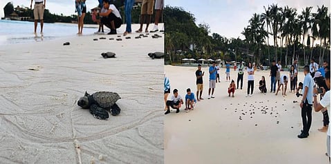 Photograph Courtesy of DENR