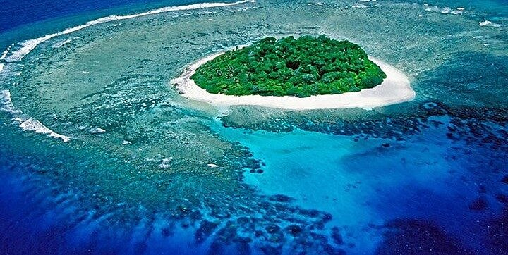 Sandy Cay in WPS now in degraded state, marine expert says - Vimarsana News