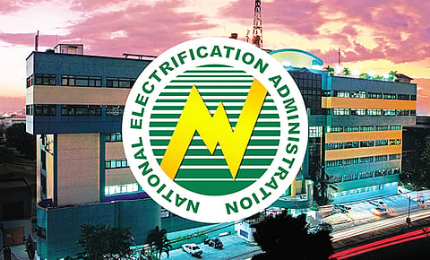 NEA control over PALECO sought