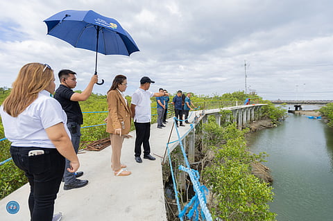  Ibo Mangrove Park