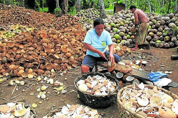 DoJ: Tillers not gov't must enjoy levy funds - Vimarsana News