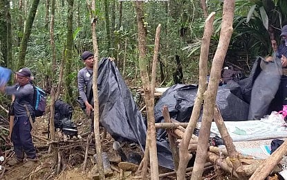 DENR warns vs agarwood poaching