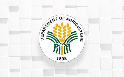 Shear line agri damages now over P173M
