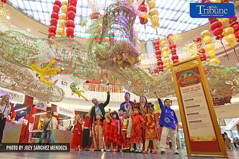 Wood dragon art display 