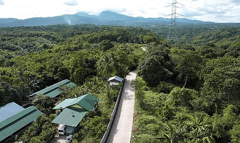 DPWH boosts agriculture in Bataan through paved farm-to-market road