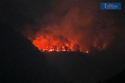 Forest fire in Benguet