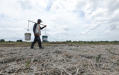 Agri damage from El Niño over P1B
