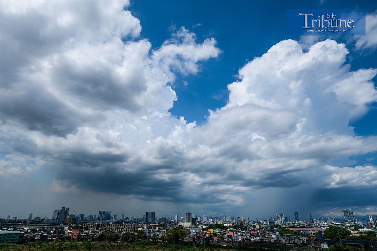 Rain at last! - Vimarsana News