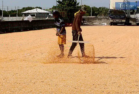 Working under the sun