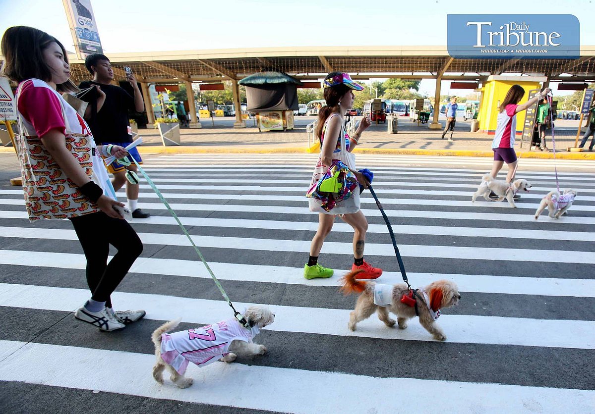 PET LOVERS UNITE! - Vimarsana News