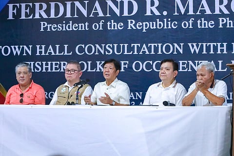 The government is looking at connecting Mindoro’s two provinces to the grid through a submarine cable as a long-term solution to their electricity supply concerns, President Ferdinand R. Marcos Jr. said.