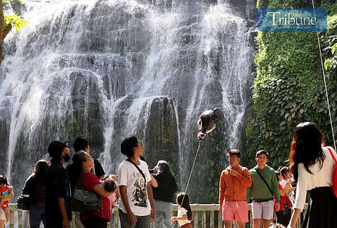 Hinulugang Taktak Nature and Adventure Park