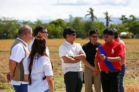 TRIBUNE-PBBM-in-farm