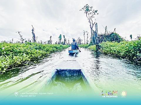 Rain catcher The Agusan Marsh has numerous shallow lakes and ponds in the upper basin of the Agusan River.