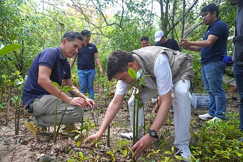 CLIMATE Change Commission vice chairperson and executive director Robert E.A. Borje (second from right) plant mangrove propagules together with volunteers of Davao Light and Energy Co. at the Aboitiz Cleanergy Park in Punta Dumalag, Davao City last 4 May 2024.