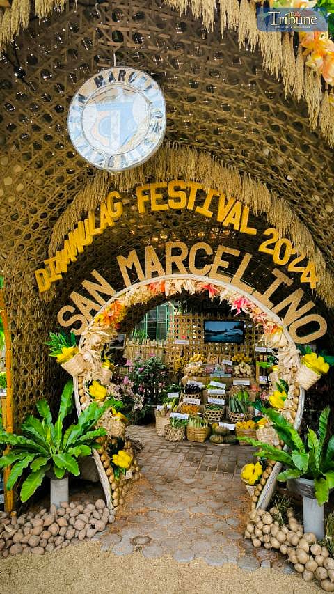 TRIBUNE-dinamulagfestivalparayawan
