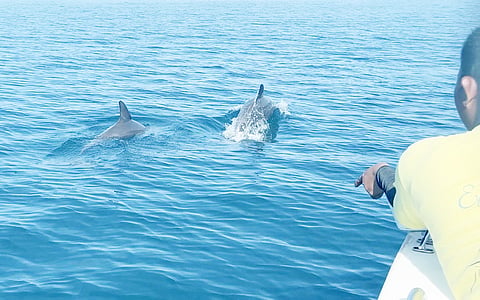 THE CCC campaign will highlight the ocean’s contributions to biodiversity support.