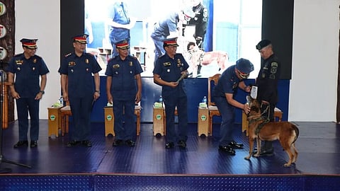 PNP canine retired after dedicated service