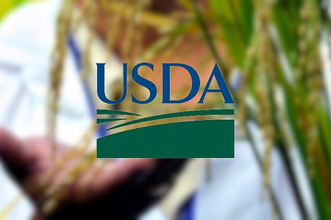 USDA: Phl top rice importer in 2025