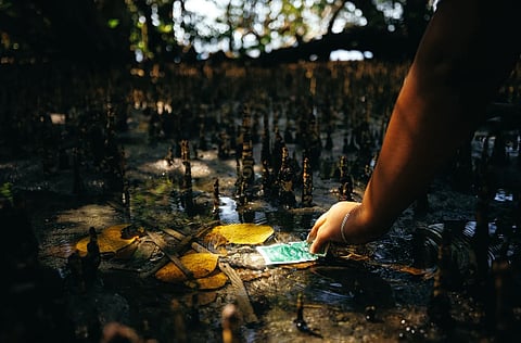
The beaches of Samal Island are under threat from an unsuspecting culprit: Plastics.