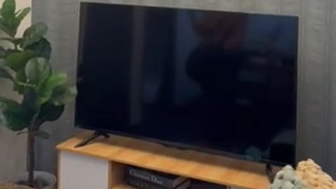 TRIBUNE-model-unit-pambansang-pabahay