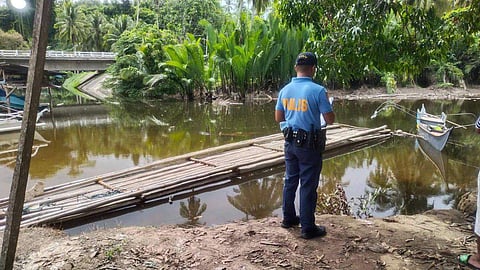 The river area in Barangay Malitub, Bataraza town, where the elderly woman was attacked by a crocodile on 5 June while doing her laundry.